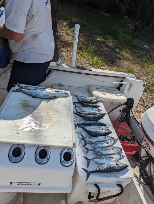 5 Hour Nearshore Charter