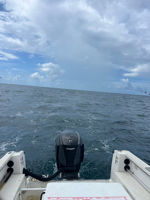 9 Hour Offshore Fishing Charter