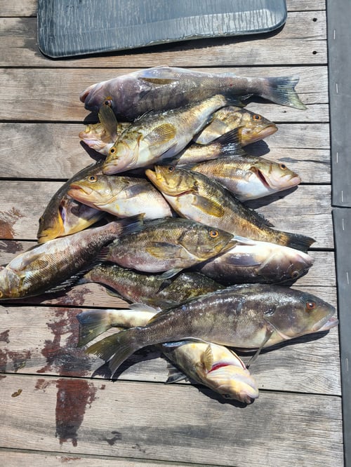 Sunrise Fishing Trip For Up To 6 