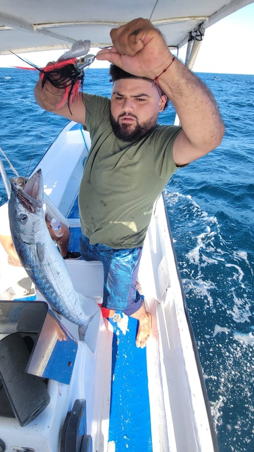 Offshore Fishing Trip - 25 Panga