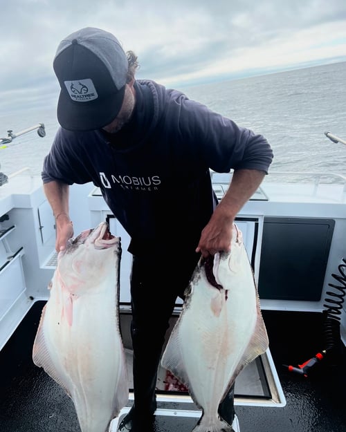 Bottom Fishing