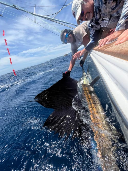 Sport Fishing Trip