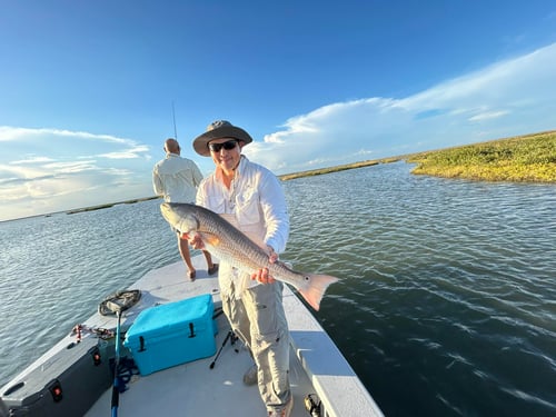 4-8 Hour Inshore Trip