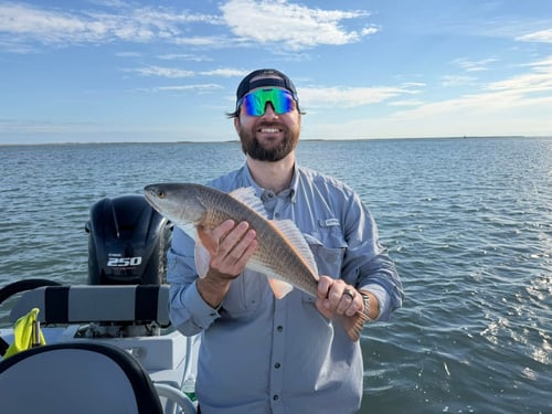 4-8 Hour Inshore Trip
