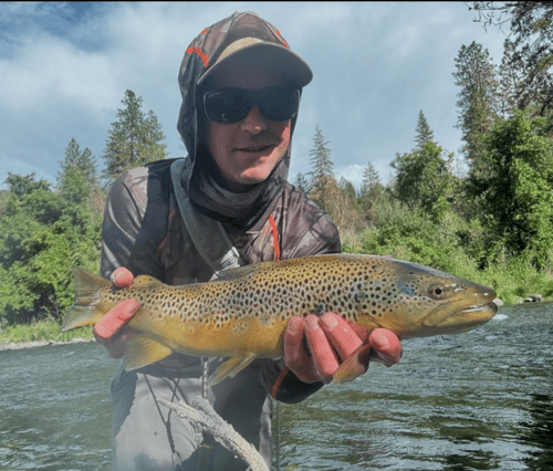 Trinity River Fishing