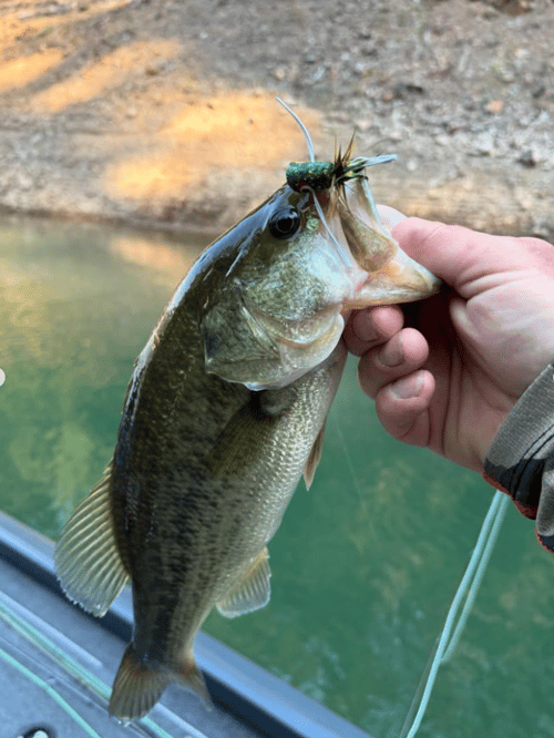 Fishing On Trinity Lake