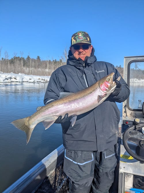 Salmon & Steelhead Fishing Trip