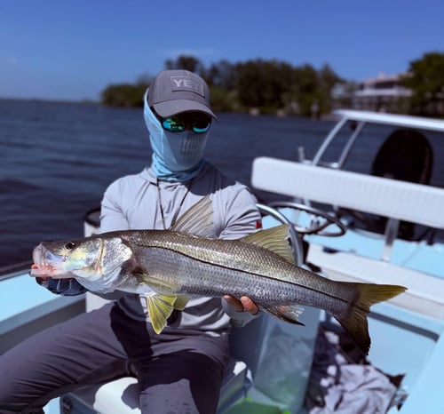 4-8 Inshore Trip