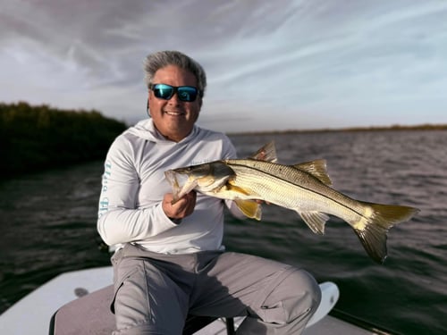 4-8 Inshore Trip