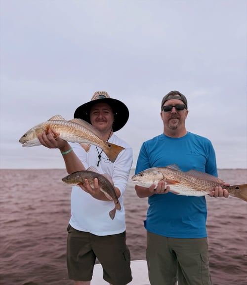 4-8 Inshore Trip