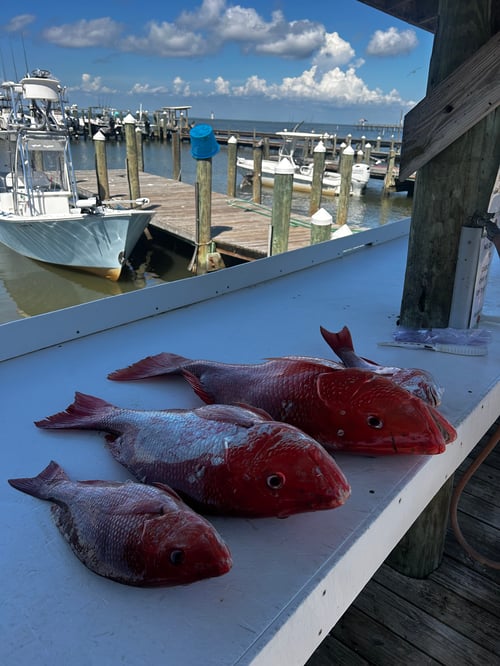 6 Hour Nearshore