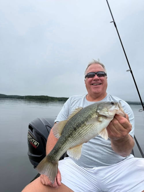 Branson Largemouth Bass Fishing