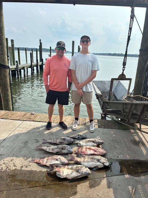8 Hour Bay Trip