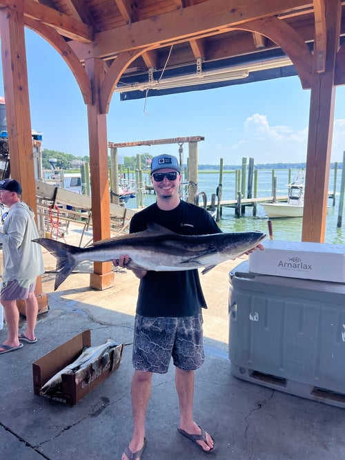 8 Hour Bay Trip