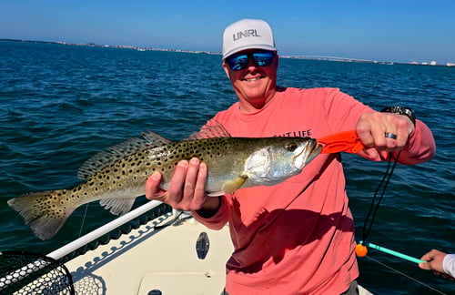 Tampa Bay Fishing Fun
