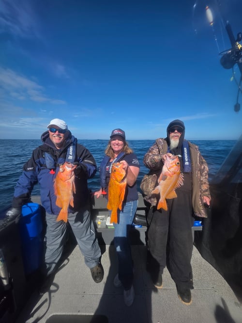 8 Hour Trip – Rockfishing