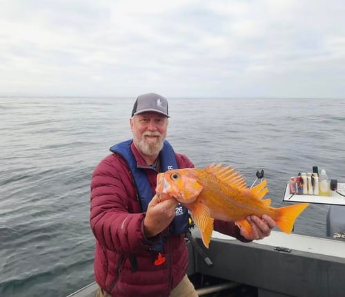 8 Hour Trip – Rockfishing