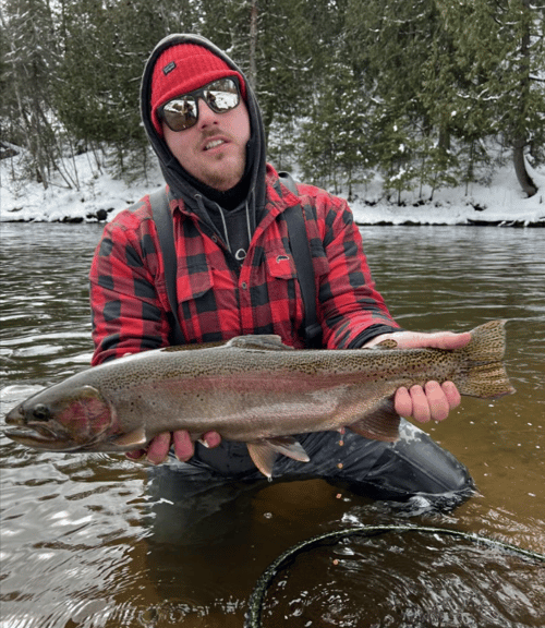 Brule River Trout
