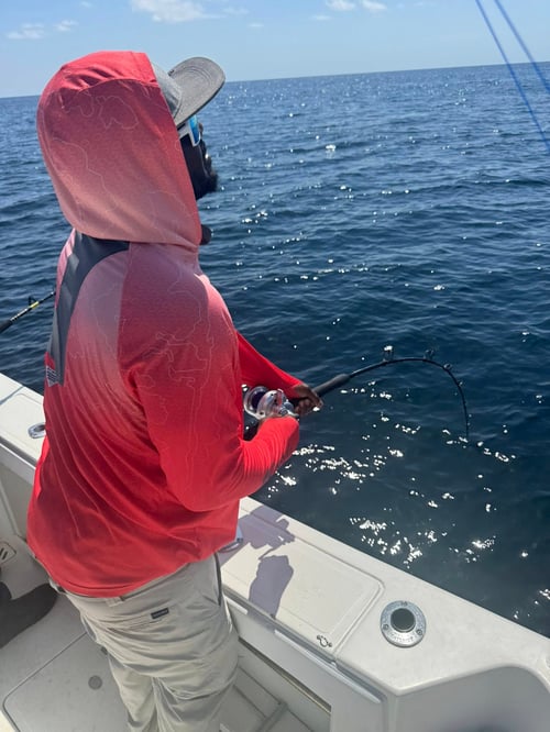 🦈 Destin Shark Fishing Trip