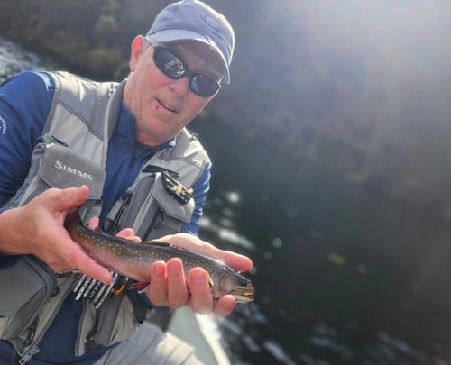 Drift Boat Fly Fishing Trips