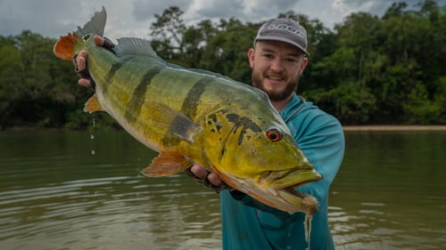Orinoco Lodge Expedition