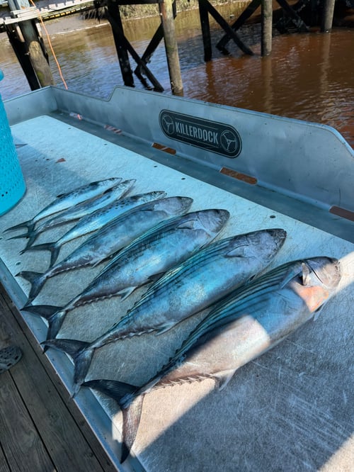 4 Hour Nearshore