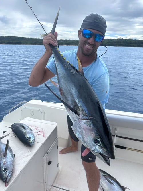 Offshore Fishing Adventure