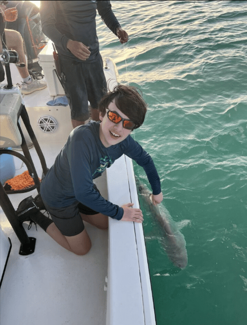 4 Hr Shark - No Shark No Pay
