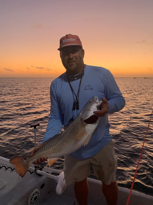 Afternoon Bay Fishing
