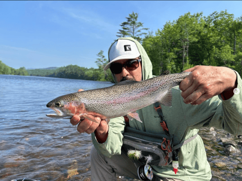Trout And Salmon Wading Trip