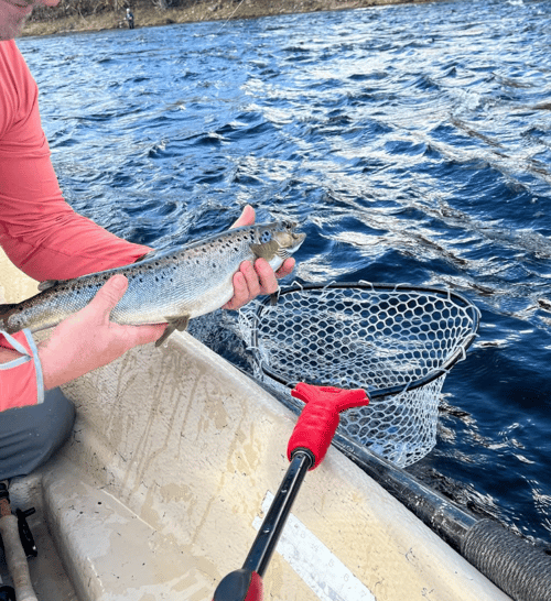 Trout And Salmon Drift Trip