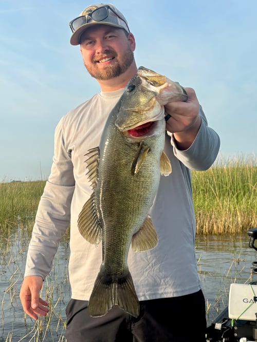 Rich Fishing