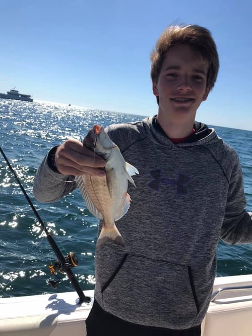 Full Day Trip - Drift Fishing