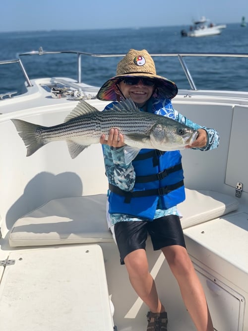 5-8 Hr Boston Harbor - Striper/Blue