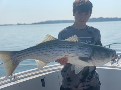 5-8 Hr Boston Harbor - Striper/Blue