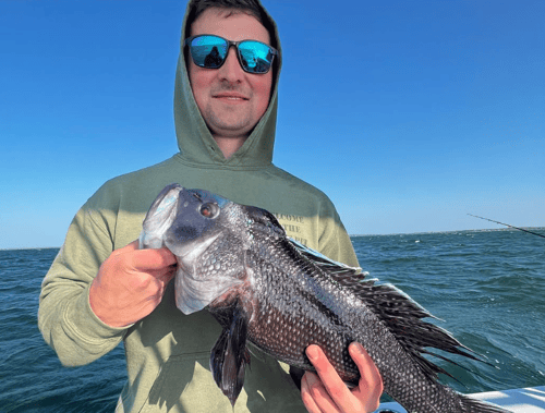 8 Hour-Spring Cape Cod Combo Trip