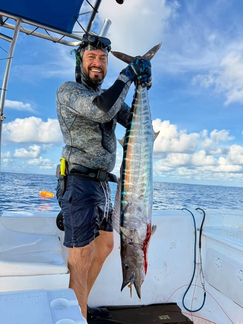 Blue Water Spearfishing Quepos