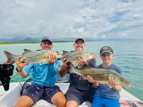 Budget Inshore Fishing