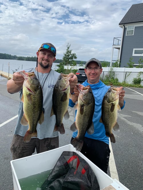 Massachusetts Guided Bass Trips