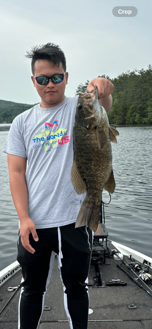 Massachusetts Guided Bass Trips