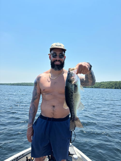 Massachusetts Guided Bass Trips