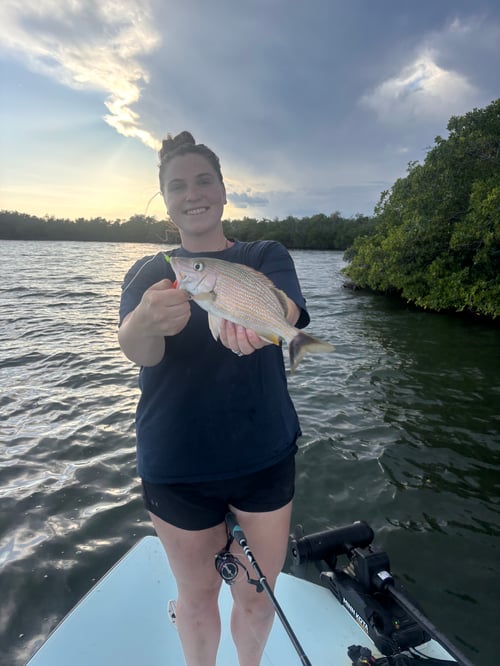 Everglades Fishing