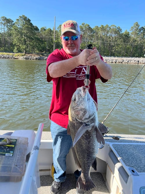 Ft Morgan Inshore/Nearshore 