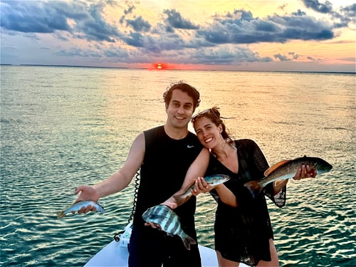  Apalachicola Bay Fishing Adventure