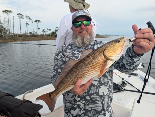 Inshore Flats Fishing