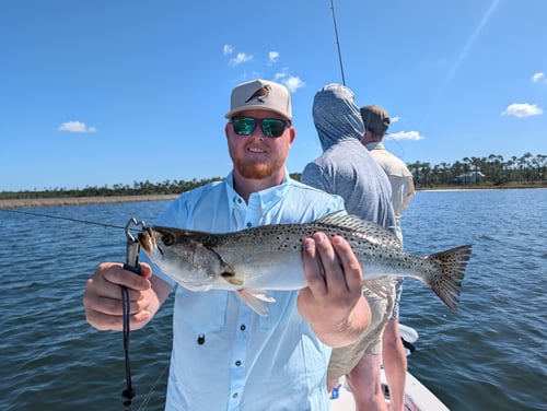 Inshore Flats Fishing