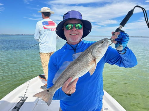 Inshore Flats Fishing