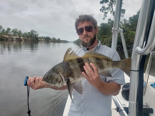 Inshore Flats Fishing