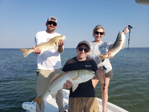 Inshore Flats Fishing