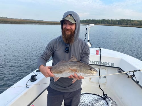 Inshore Fishing